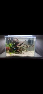 Aquascape aquarium, Dieren en Toebehoren, Ophalen, Gebruikt