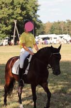 Leuke D-pony te koop, Dieren en Toebehoren, Pony's, Ruin, 11 jaar of ouder, Recreatiepony, D pony (1.37m tot 1.48m)