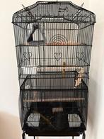 Nieuwe zwarte vogelkooi, Dieren en Toebehoren, Vogels | Hokken en Kooien, Ophalen, Zo goed als nieuw, Vogelkooi