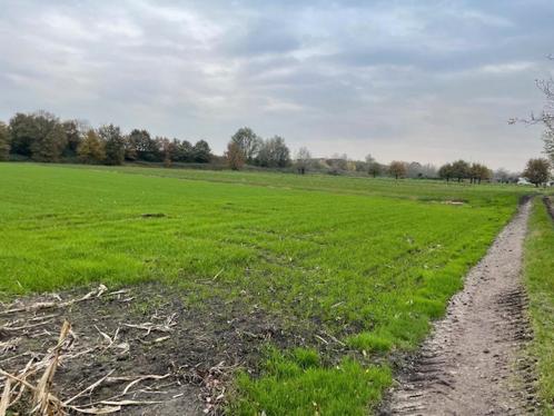 Grond te koop in Lochristi, Immo, Gronden en Bouwgronden, 1500 m² of meer
