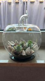 Appel groot, Huis en Inrichting, Ophalen, Zo goed als nieuw