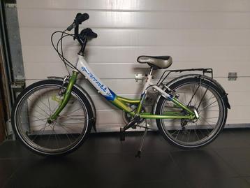 carratt beschikbaar voor biedingen