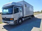 Paardenvrachtwagen, Auto's, Mercedes-Benz, Overige modellen, 7540 kg, Bedrijf, 6 zetels