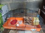 Cage à hamsters, Ophalen of Verzenden, Gebruikt, Kooi