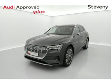 Audi e-tron Audi e-tron  advanced 55 quattro 265 kW beschikbaar voor biedingen