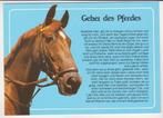 PAARDEN GEBED, Collections, Cartes postales | Animaux, Non affranchie, Cheval, Envoi