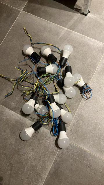 Peerkes met spaarlampen, 14 stuks beschikbaar voor biedingen
