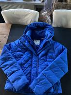 Jas America Today, Ophalen of Verzenden, Maat 38/40 (M), Blauw