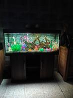 Juwel Rio 125, Dieren en Toebehoren, Ophalen