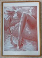 CAMILLE DE TAEYE / PIED-DE-BICHE / KLEURZEEFDRUK / 64x45cm, Ophalen of Verzenden