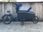 » URBAN ARROW « Family NEXT Advanced bakfiets, Urban Arrow, Batavus, Ophalen of Verzenden, Urban Arrow