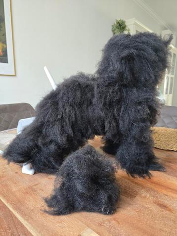 Oefenhond voor trimmers (poedel).  beschikbaar voor biedingen