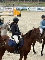 C pony, Animaux & Accessoires, Chevaux, Jument