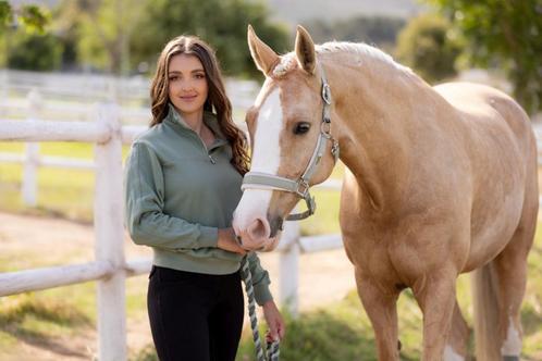 LeMieux Versailles Halster Velvet Fern Cob + Full, Animaux & Accessoires, Chevaux & Poneys | Brides & Harnachement, Neuf, Autres espèces