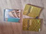 Pegasus vocabularium + grammatica + woord- en determineerkaa, Boeken, Ophalen of Verzenden, Zo goed als nieuw