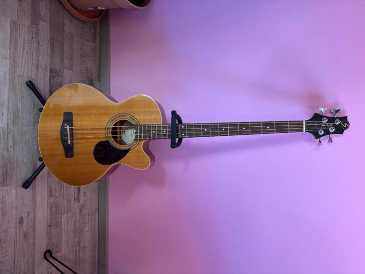 Greg Bennet Basgitaar elektrisch, Muziek en Instrumenten, Snaarinstrumenten | Gitaren | Bas, Zo goed als nieuw, Elektrisch, Ophalen