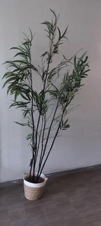Grote kunstplant (2m), Ophalen, Vaste plant, Overige soorten