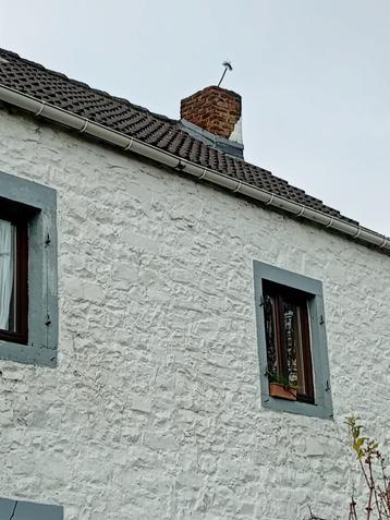 Ramonage  beschikbaar voor biedingen