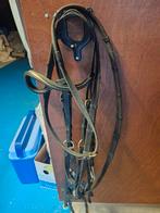 Hoofdstel paard, Dieren en Toebehoren, Ophalen