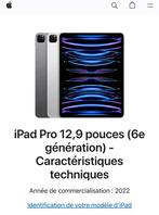 Ipad pro, Informatique & Logiciels, Apple iPad Tablettes, Enlèvement, Neuf, 13 pouces ou plus, 512 GB