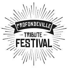 4 tickets Profondeville Tribute Festival 23 juin