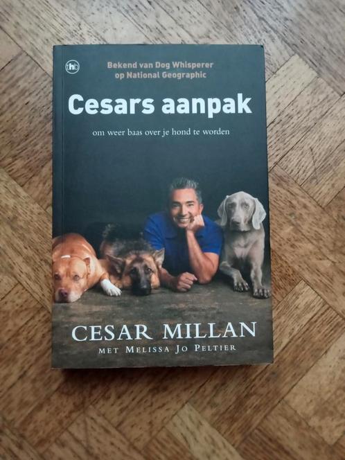Cesar Millan: Cesars aanpak, Boeken, Dieren en Huisdieren, Gelezen, Honden, Ophalen of Verzenden