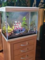 Aquarium, Enlèvement, Comme neuf