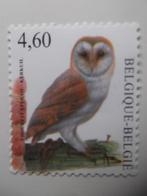 Chouette effraie - Kerkuil, Ophalen of Verzenden, Postfris, Frankeerzegel, Postfris
