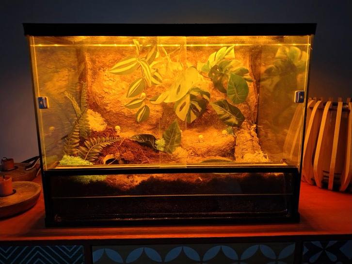 Compleet gebruiksklare terrarium met led verlichting te koop, Dieren en Toebehoren, Reptielen en Amfibieën | Toebehoren, Verlichting