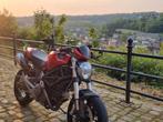 Ducati Monster 696, Particulier