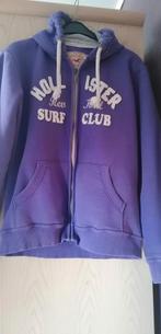 Sweat à capuche HOLLISTER, Vêtements | Femmes, Pulls & Gilets, Enlèvement ou Envoi, Comme neuf