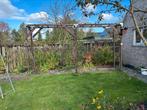 Pergola voor druiven of rozen., Tuin en Terras, Ophalen, Gebruikt, Hout, Sierhekwerk