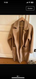 Bruine winterjas, Kleding | Dames, Jassen | Winter, Ophalen, Zo goed als nieuw