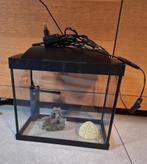 Kleine aquarium, Dieren en Toebehoren, Ophalen, Zo goed als nieuw