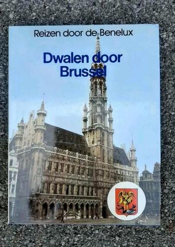 Reisboek / reisgids : reizen door de Benelux beschikbaar voor biedingen