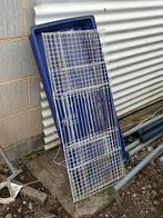 Cavia kooi, Enlèvement, Comme neuf