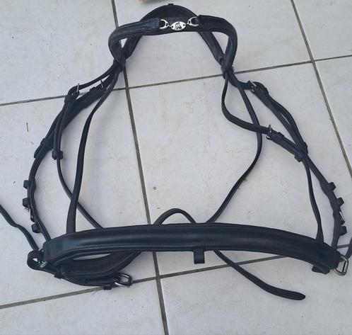 Hoofdstel, Dieren en Toebehoren, Paarden en Pony's | Hoofdstellen en Tuigage, Zo goed als nieuw, Ophalen of Verzenden
