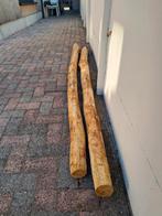 Kastanjepaal (nieuw!), Ophalen, Nieuw, 200 tot 250 cm, 50 mm of meer