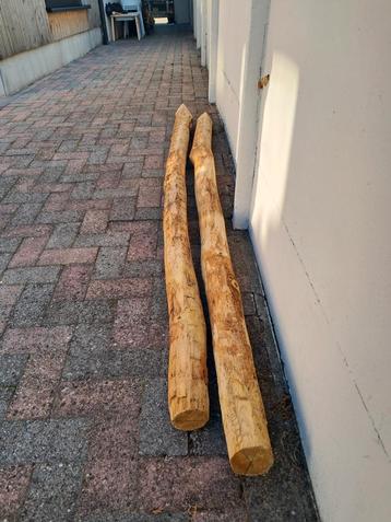 Poteau en châtaignier (nouveau !), Neuf, 50 mm ou plus, 200 à 250 cm, Autres essences de bois