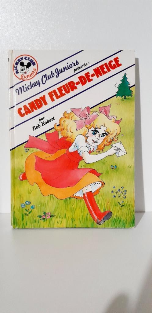 Candy Fleur-de-neige : Livre (1984), Livres, Livres pour enfants | Jeunesse | Moins de 10 ans, Utilisé, Fiction général, Enlèvement