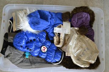 lot nieuwe hondentruitjes en -jasjes beschikbaar voor biedingen