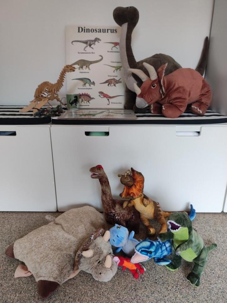 Groot dino pakket, Enfants & Bébés, Jouets | Jouets de bébé, Enlèvement