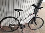 Type vrouwelijke koersfiets wit, Fietsen en Brommers, Ophalen, 28 inch, 10 tot 15 versnellingen, 47 tot 50 cm