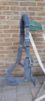 Halster met bond, Dieren en Toebehoren, Ophalen, Gebruikt