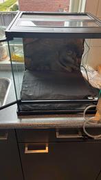 Terrarium à fléchettes ExoTerra 45 x 45 x 45 cm, Enlèvement, Comme neuf, Terrarium ou Paludarium