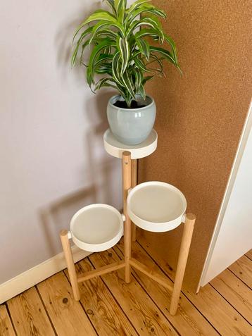 Planten standaard/tafel bamboe beschikbaar voor biedingen