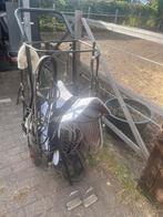Paardenspullen te koop, Dieren en Toebehoren