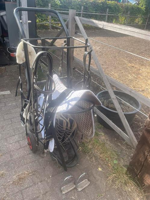 Paardenspullen te koop, Dieren en Toebehoren, Paarden
