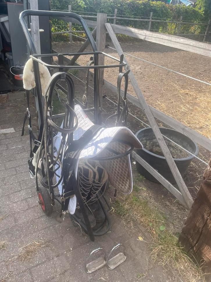 Paardenspullen te koop, Dieren en Toebehoren, Paarden