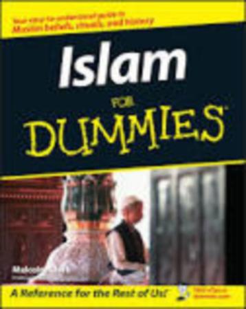 Islam voor dummies Malcolm Clark 404 blz disponible aux enchères